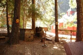 Svetaikona.voshuma1