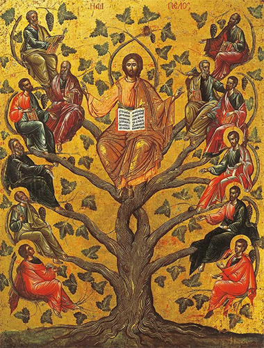 Apostolsko.drvo.Hristos