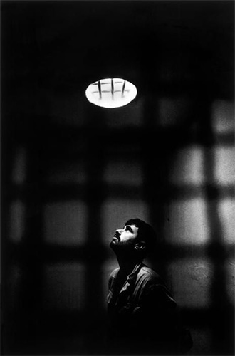 Patot.na.podviznikot16