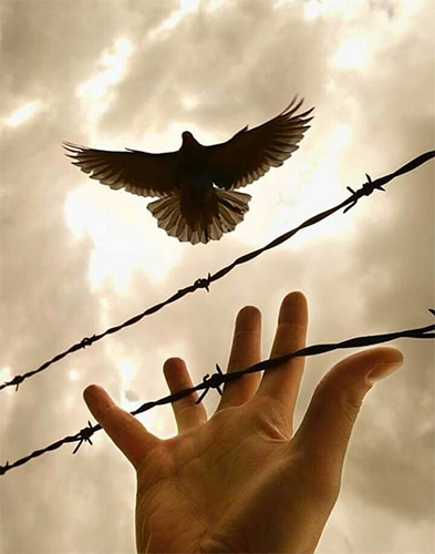 Patot.na.podviznikot3